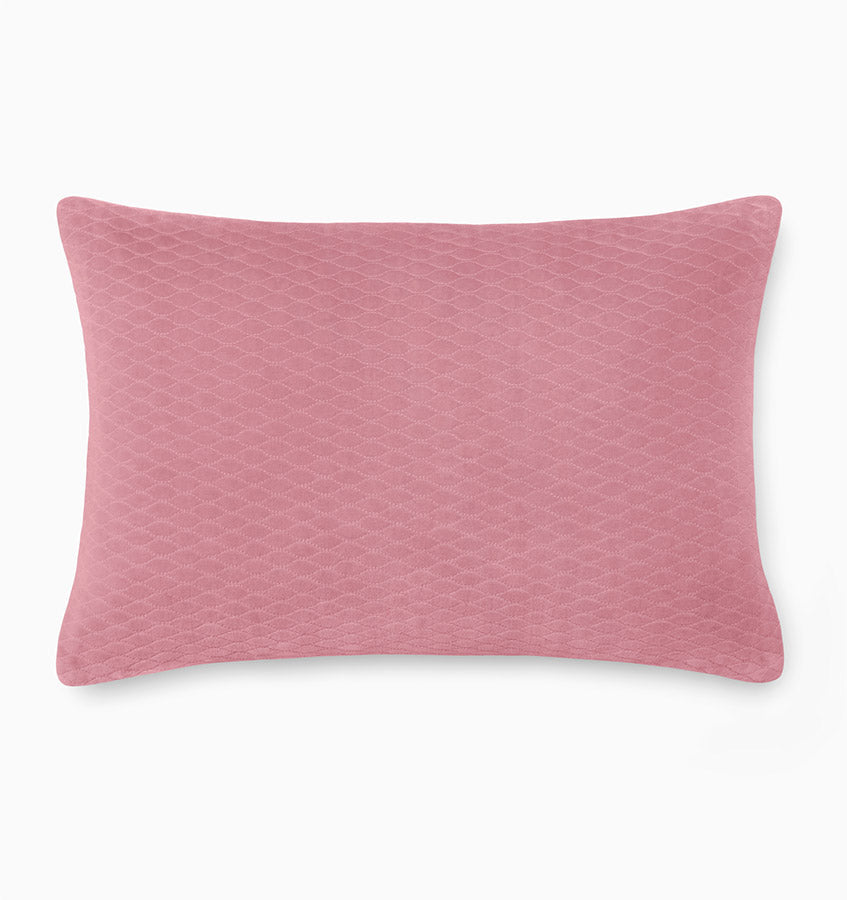 variant__pink