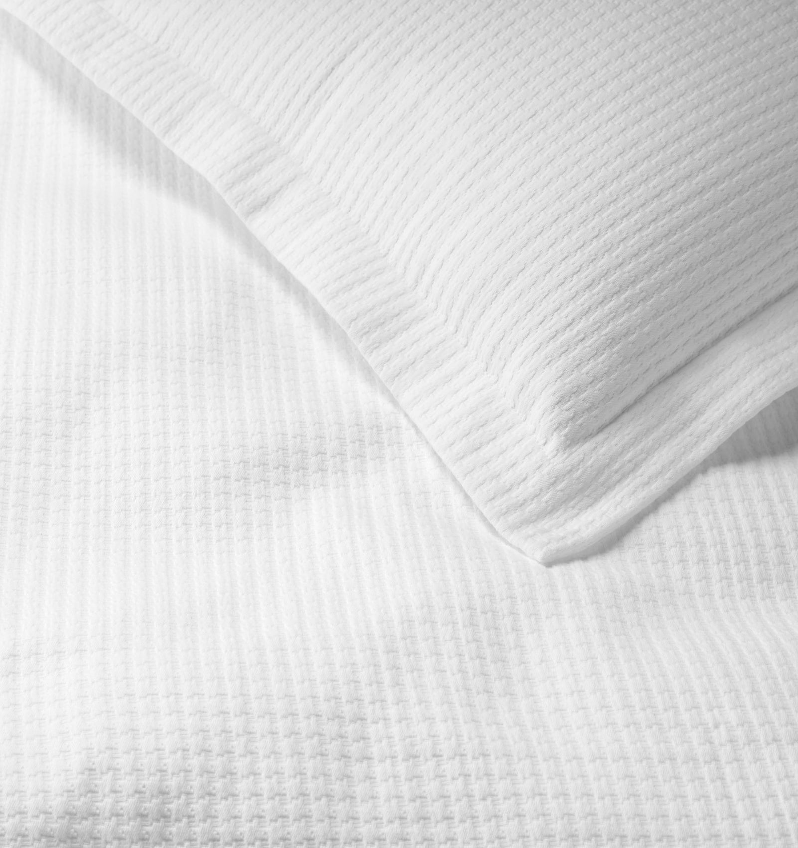 variant__white