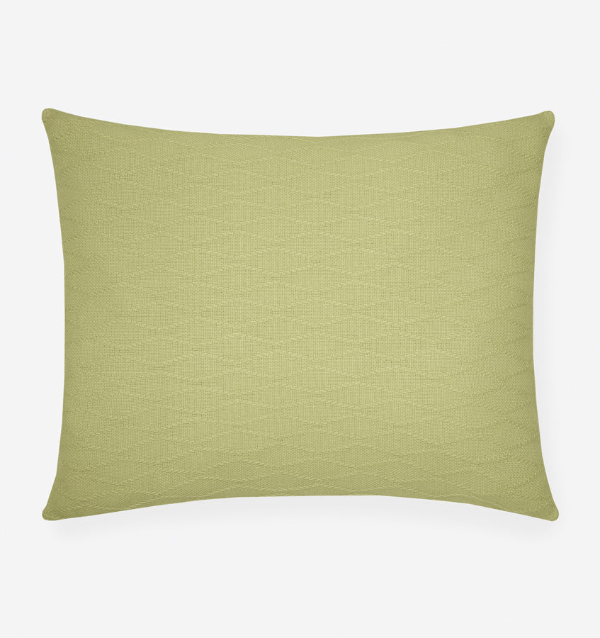 variant__kiwi