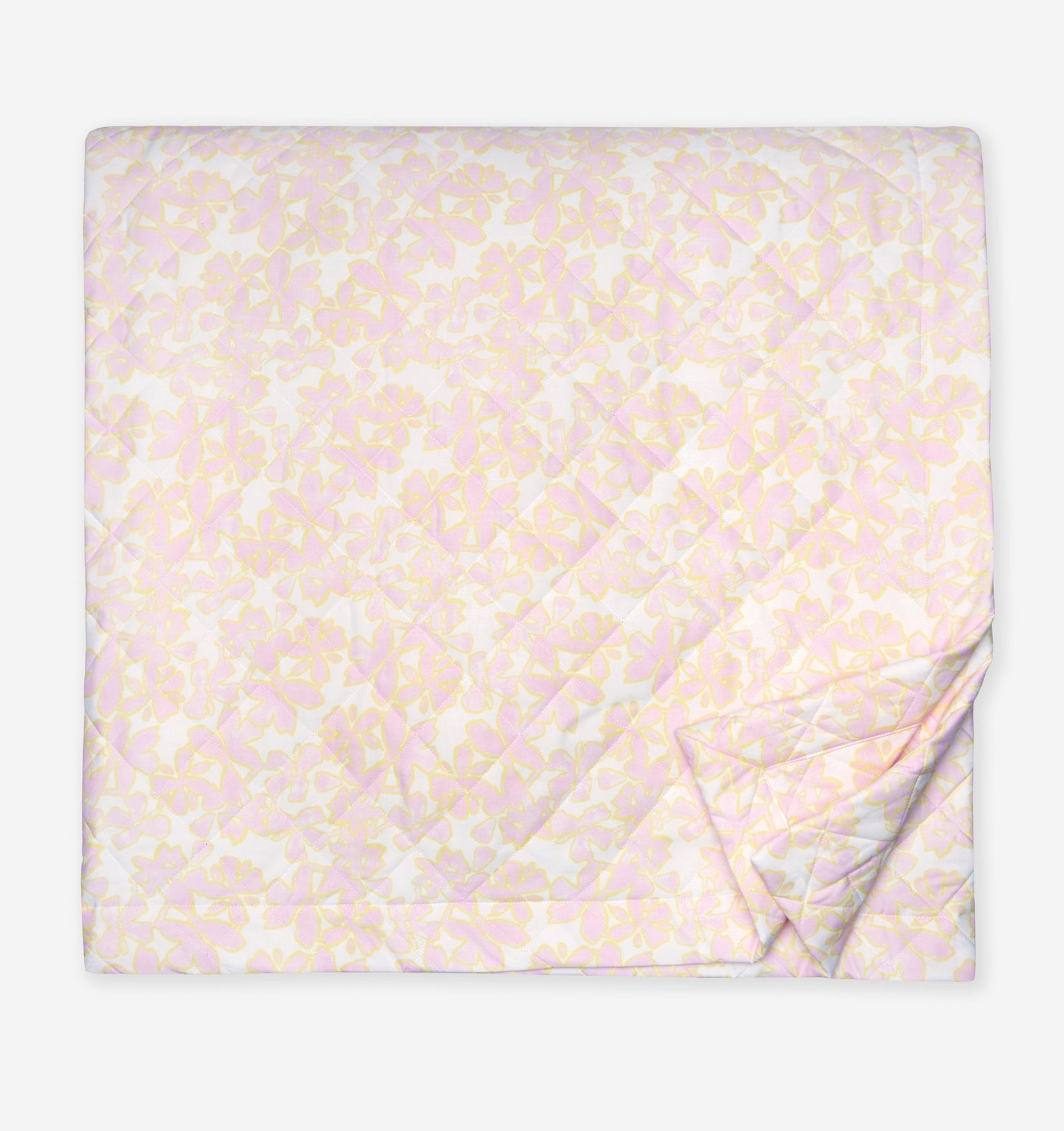 variant__carnation