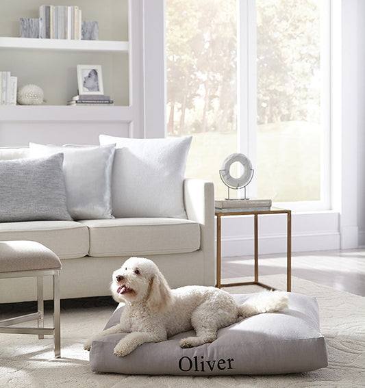 A dog sitting on the monogrammed SFERRA Lettino Dog Bed.