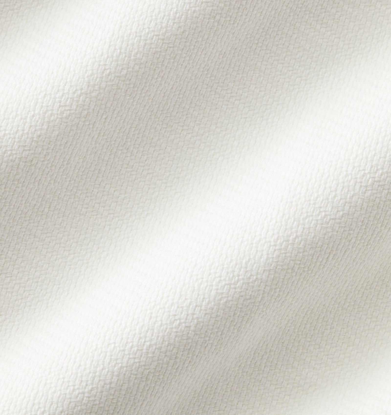 variation__oyster