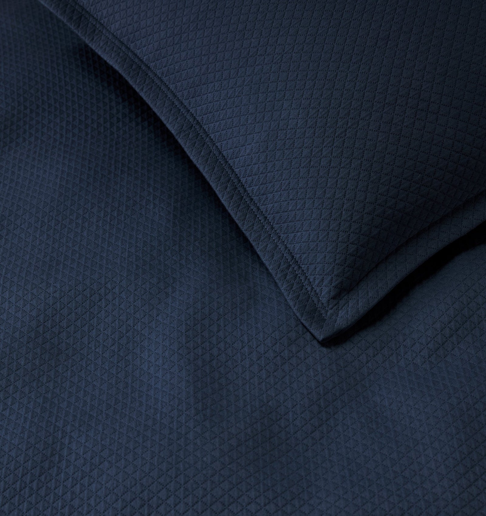 variant__navy