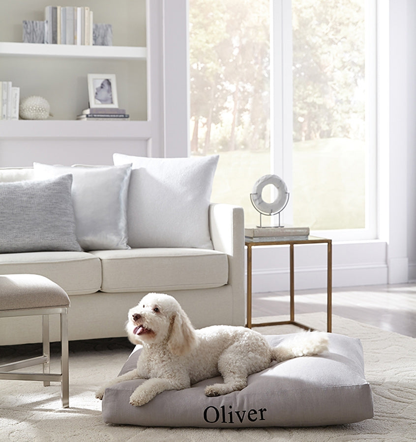 A dog sitting on the monogrammed SFERRA Lettino Dog Bed.